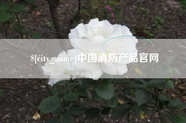 射阳中国消防产品官网