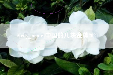 射阳中国的几块金牌2021