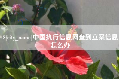 射阳中国执行信息网查到立案信息怎么办