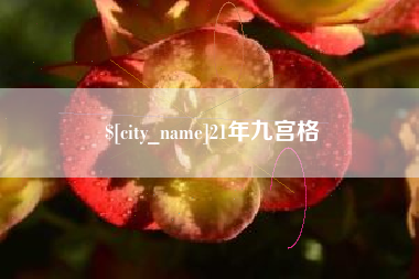射阳21年九宫格