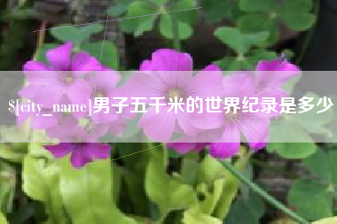 射阳男子五千米的世界纪录是多少