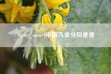 射阳中国九金分别是谁