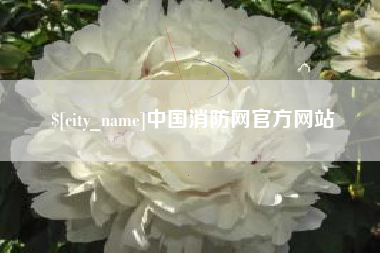 射阳中国消防网官方网站