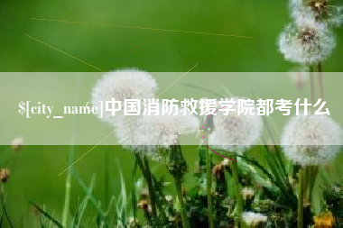 射阳中国消防救援学院都考什么