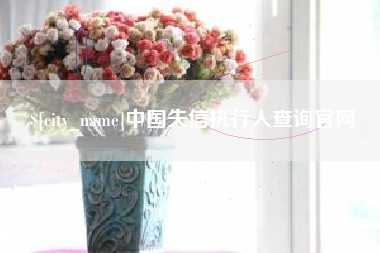 射阳中国失信执行人查询官网