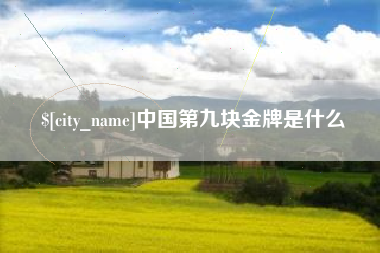 射阳中国第九块金牌是什么