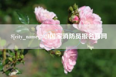 射阳2021国家消防员报名官网