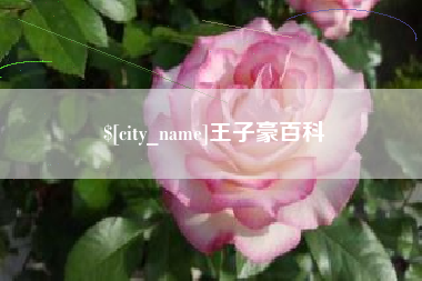 射阳王子豪百科