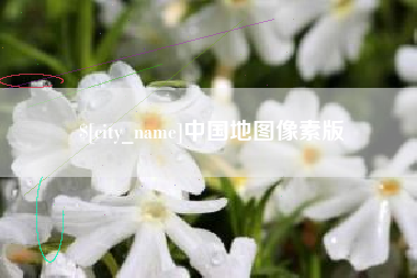 射阳中国地图像素版