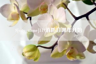 射阳119消防日哪年开始