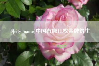 射阳中国有哪几枚金牌得主