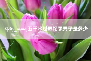 射阳五千米世界纪录男子是多少