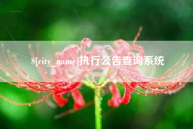 射阳执行公告查询系统