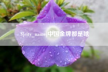 射阳中国金牌都是啥