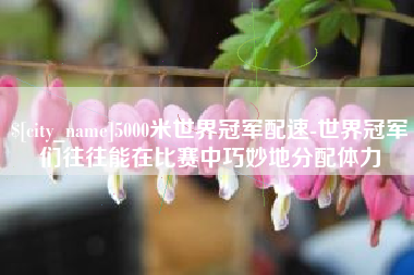 射阳5000米世界冠军配速-世界冠军们往往能在比赛中巧妙地分配体力