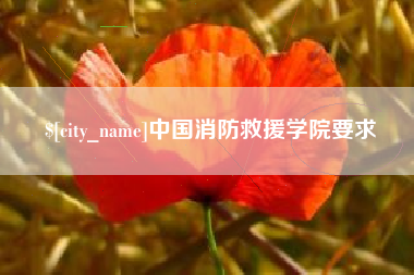 射阳中国消防救援学院要求