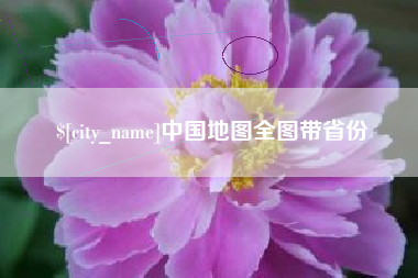 射阳中国地图全图带省份