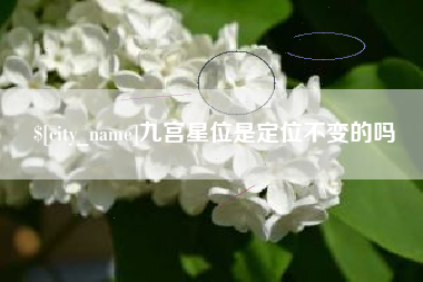 射阳九宫星位是定位不变的吗