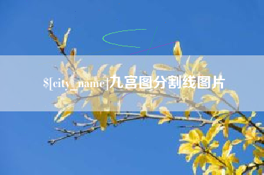 射阳九宫图分割线图片