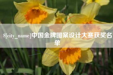 射阳中国金牌图案设计大赛获奖名单