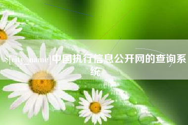 射阳中国执行信息公开网的查询系统