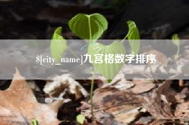 射阳九宫格数字排序