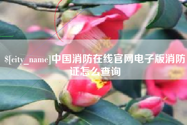 射阳中国消防在线官网电子版消防证怎么查询