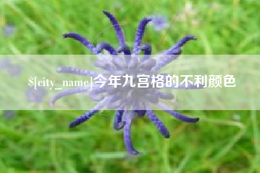 射阳今年九宫格的不利颜色