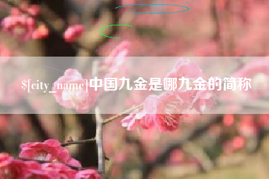 射阳中国九金是哪九金的简称