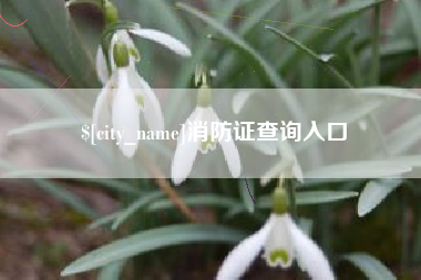 射阳消防证查询入口
