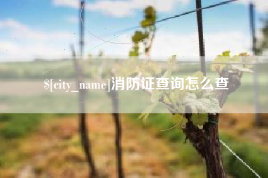 射阳消防证查询怎么查