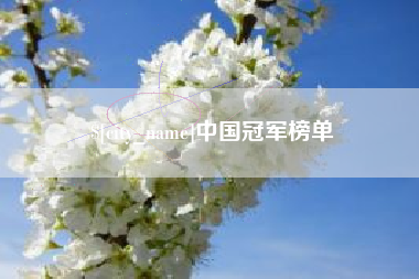 射阳中国冠军榜单