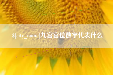 射阳九宫宫位数字代表什么