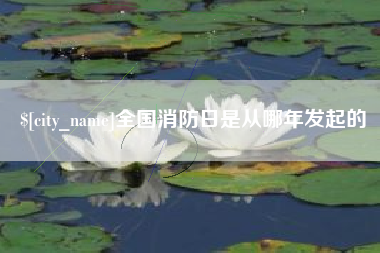 射阳全国消防日是从哪年发起的