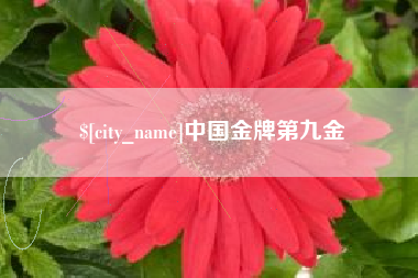 射阳中国金牌第九金