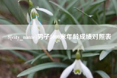射阳男子5000米年龄成绩对照表