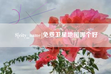 射阳免费卫星地图哪个好