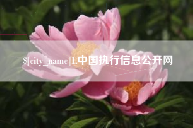 射阳1.中国执行信息公开网