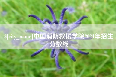 射阳中国消防救援学院2024年招生分数线