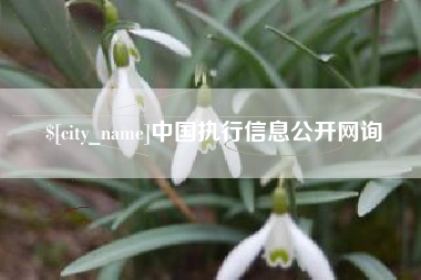 射阳中国执行信息公开网询