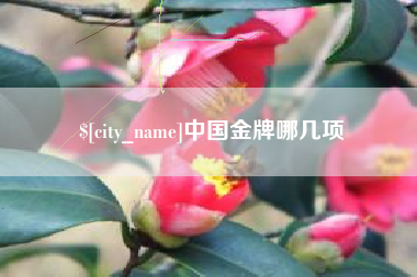 射阳中国金牌哪几项