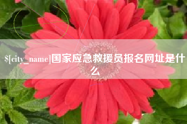射阳国家应急救援员报名网址是什么