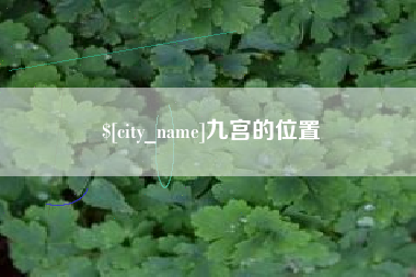射阳九宫的位置