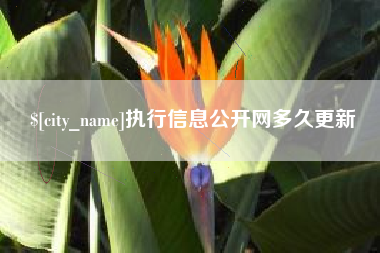 射阳执行信息公开网多久更新