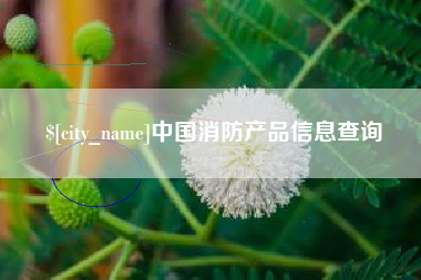 射阳中国消防产品信息查询