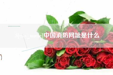 射阳中国消防网址是什么
