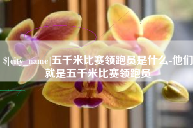 射阳五千米比赛领跑员是什么-他们就是五千米比赛领跑员