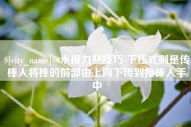 射阳60米接力赛技巧-下压式则是传棒人将棒的前部由上向下传到接棒人手中