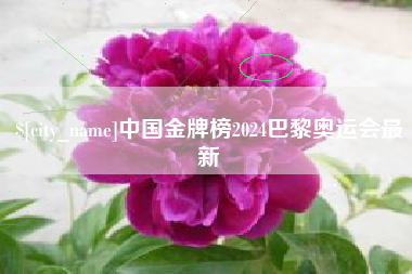 射阳中国金牌榜2024巴黎奥运会最新