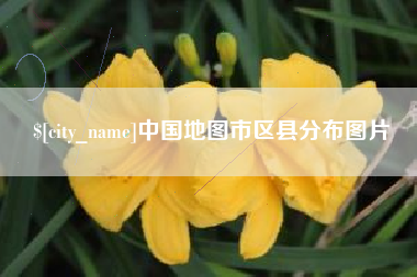 射阳中国地图市区县分布图片